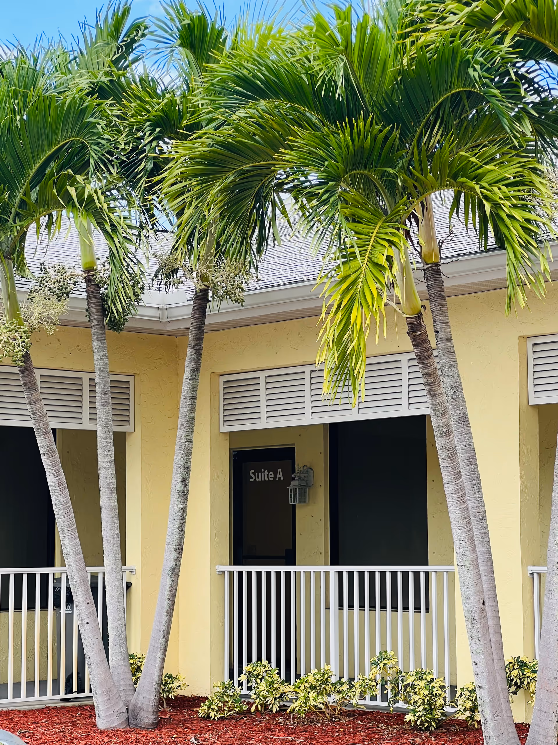 Palm trees frame a pale yellow building exterior with a door labeled Suite A.