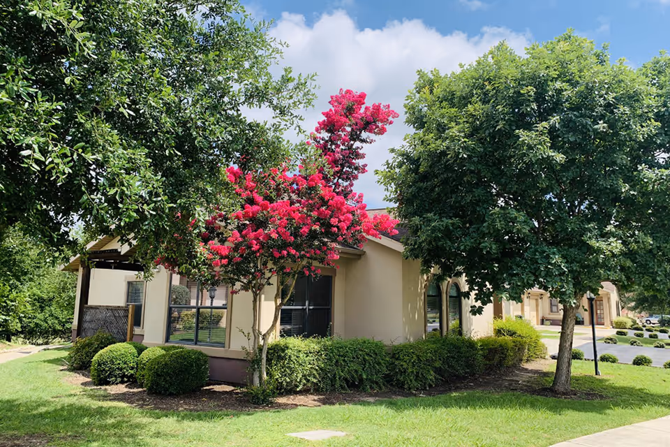 Single-story beige building front surrounded by green trees, shrubs, and a blooming pink flowering tree under a blue sky.