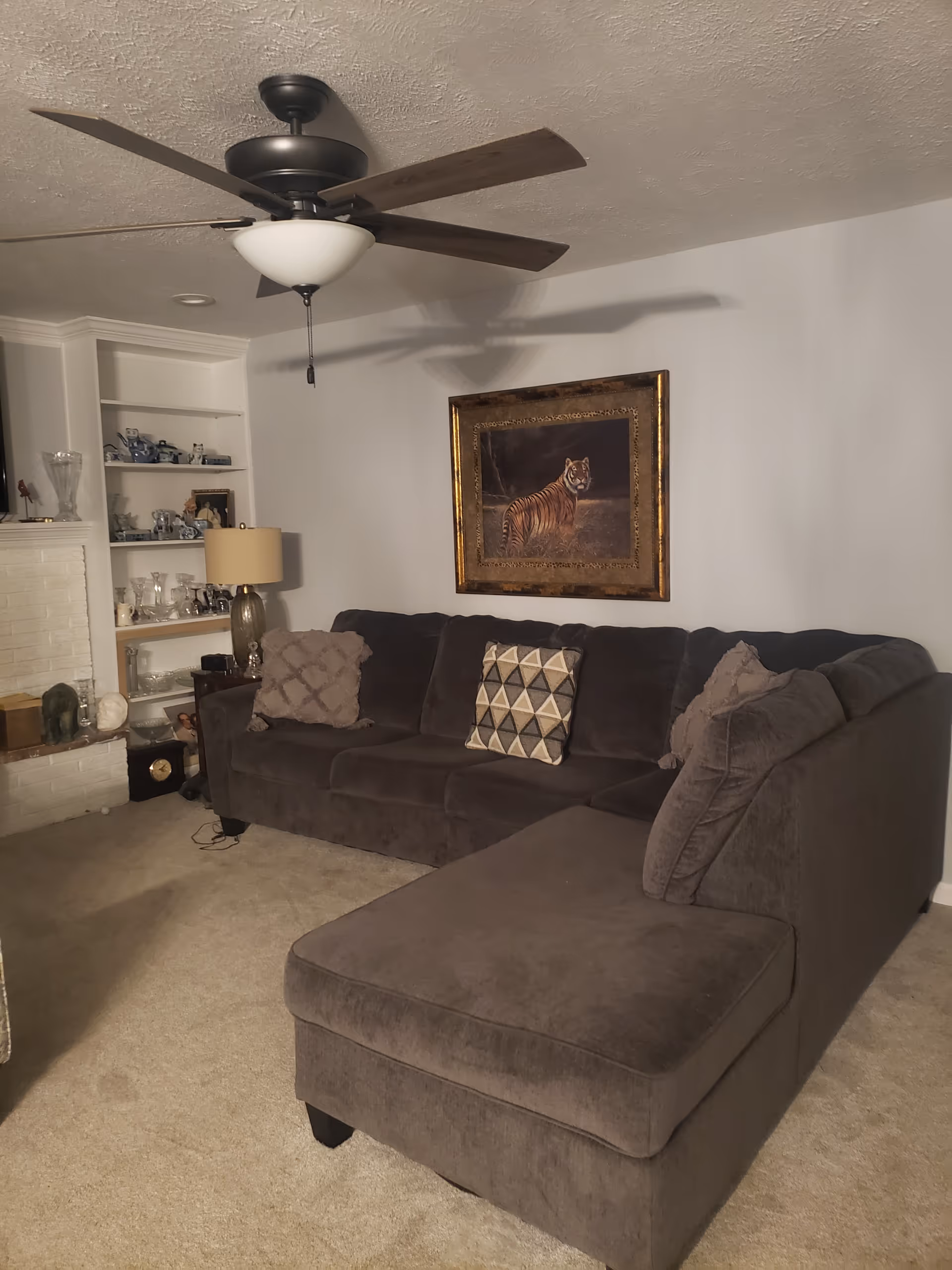 Cozy living room with gray sectional sofa, ceiling fan, shelves of dishes, tiger artwork.