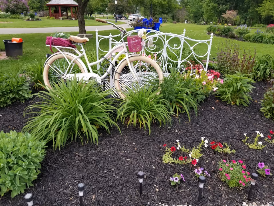 White decorative bicycle with baskets sits among mulch and vibrant flowers in a garden.