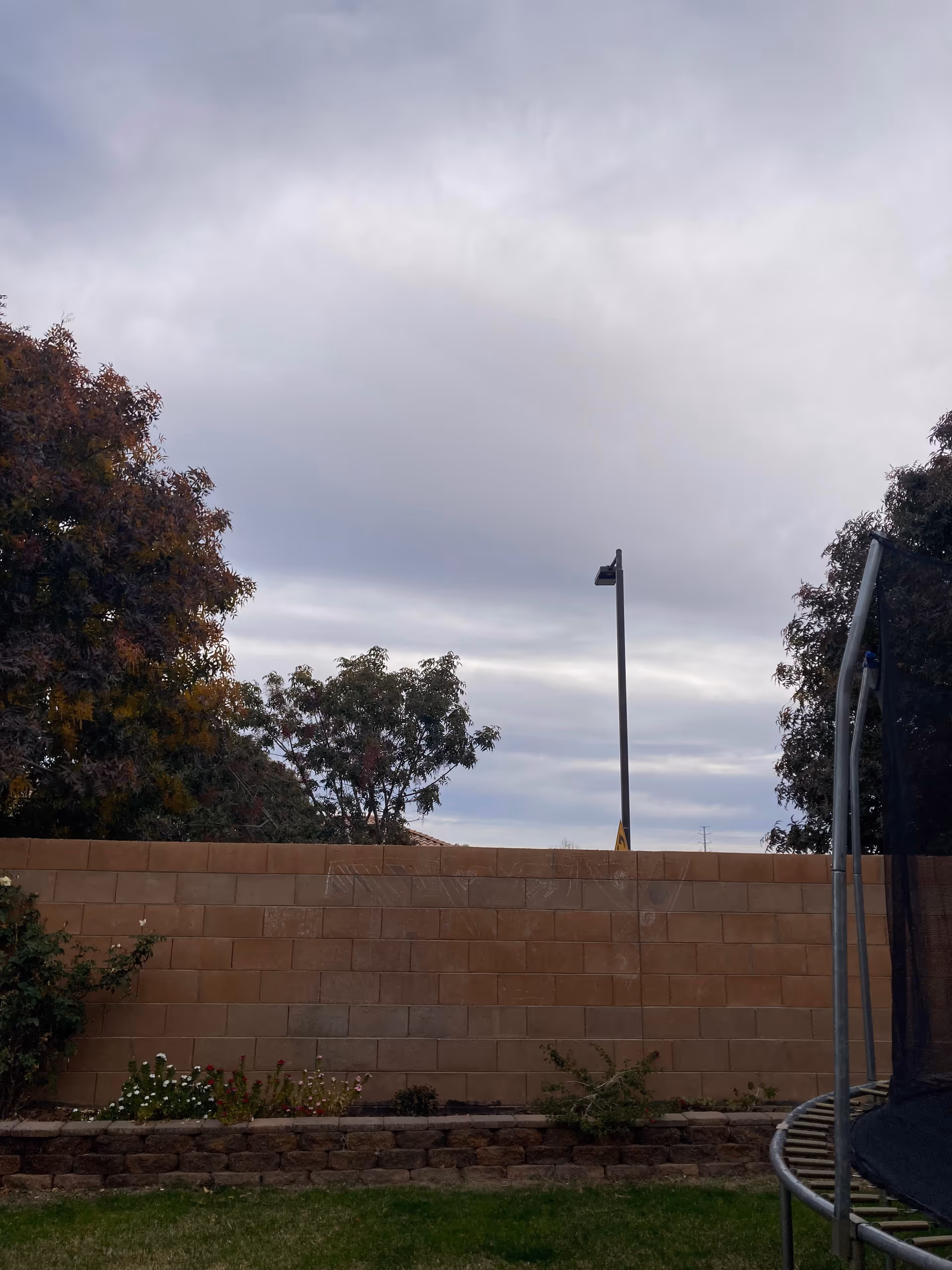 Outdoor backyard area with a trampoline, brick wall, and trees under cloudy sky.