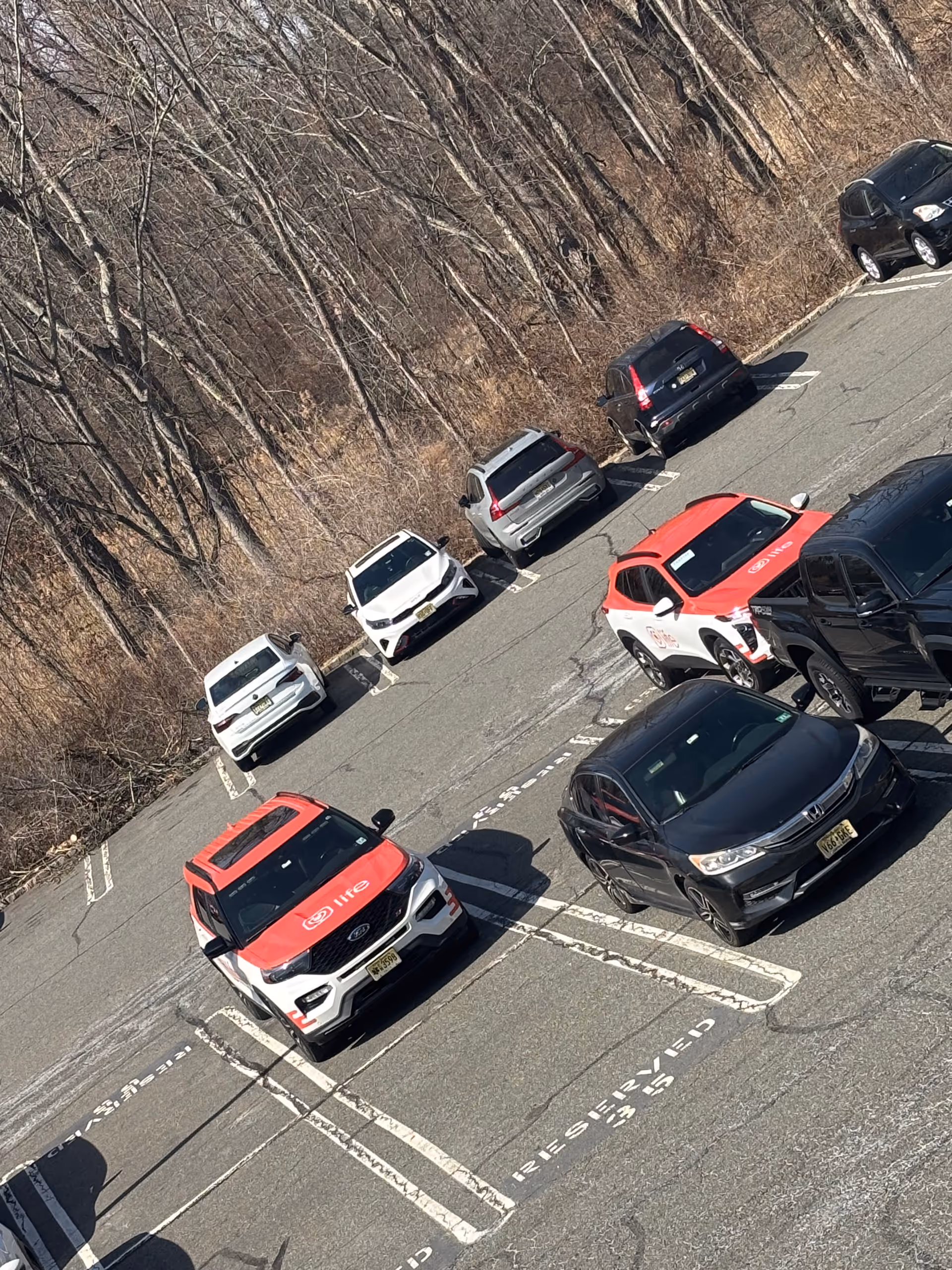 Outdoor parking lot filled with multiple cars, including red-and-white Life-branded vehicles beside bare trees.