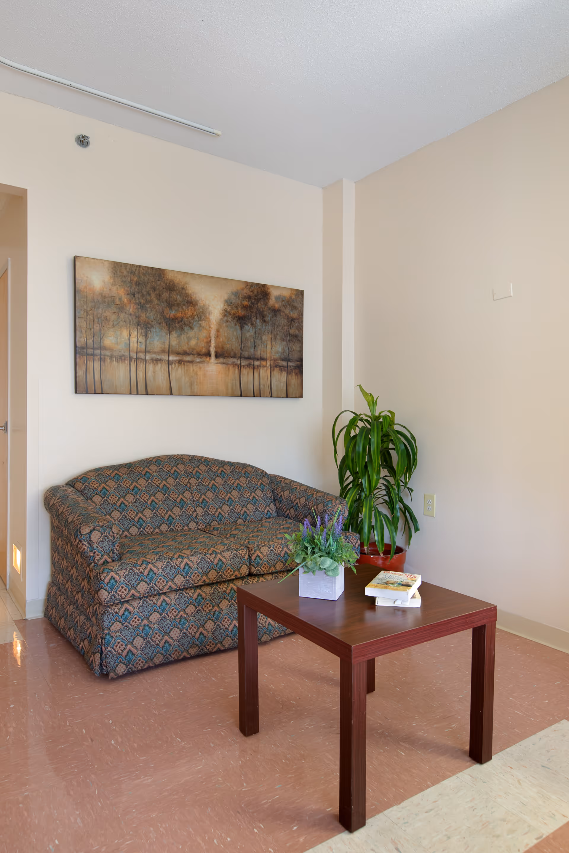 Small sitting area with a patterned loveseat, a wooden coffee table holding a potted plant and books, a floor plant, and a landscape painting on the wall.