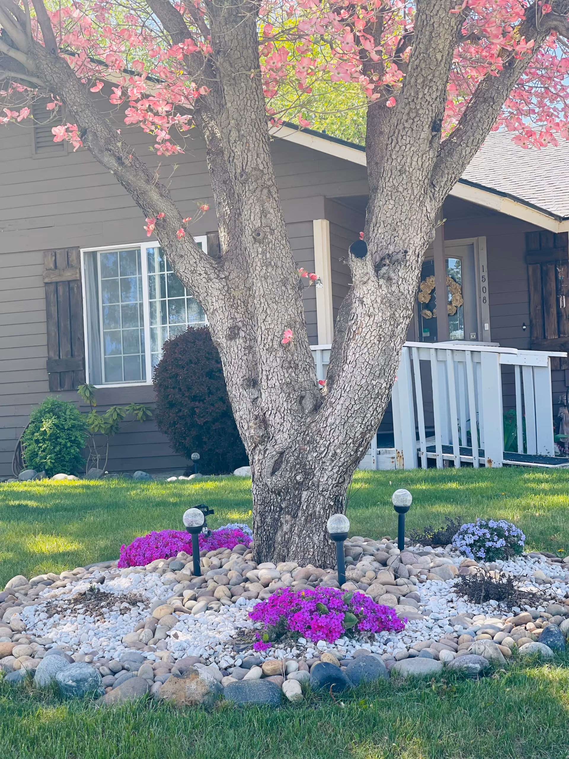 Front yard of a home featuring a blooming tree, rock garden, and a small porch.