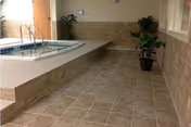 Indoor pool area with tiled floor, small pool, and potted plants.