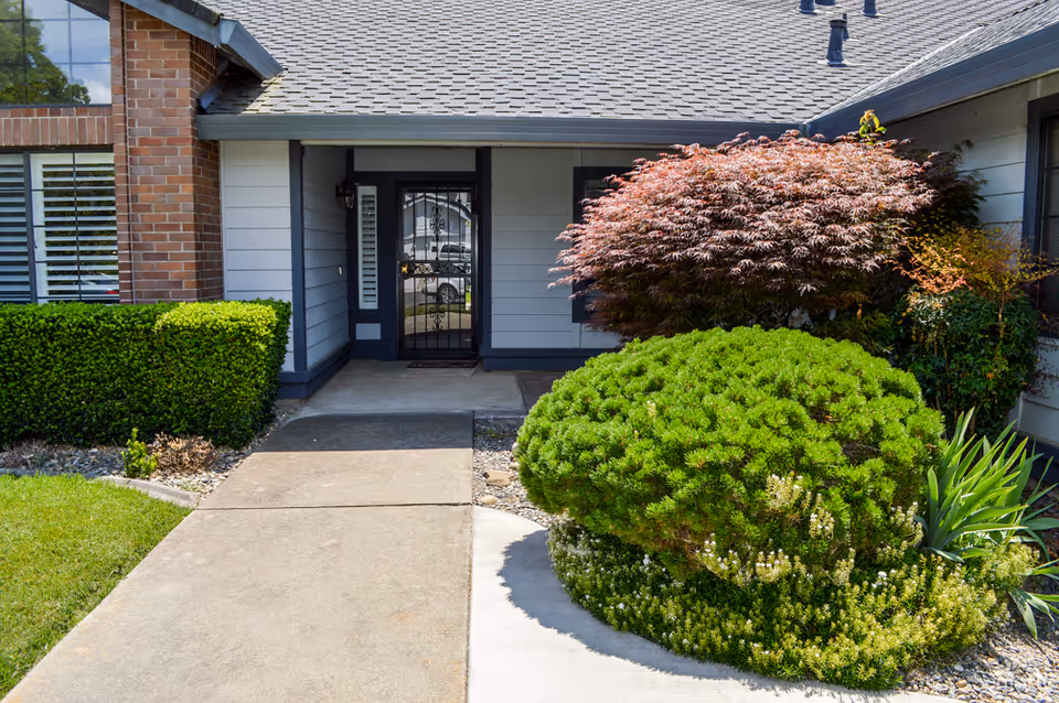Front entrance of a single-story building with a concrete walkway, neatly trimmed shrubs, and a metal security door.