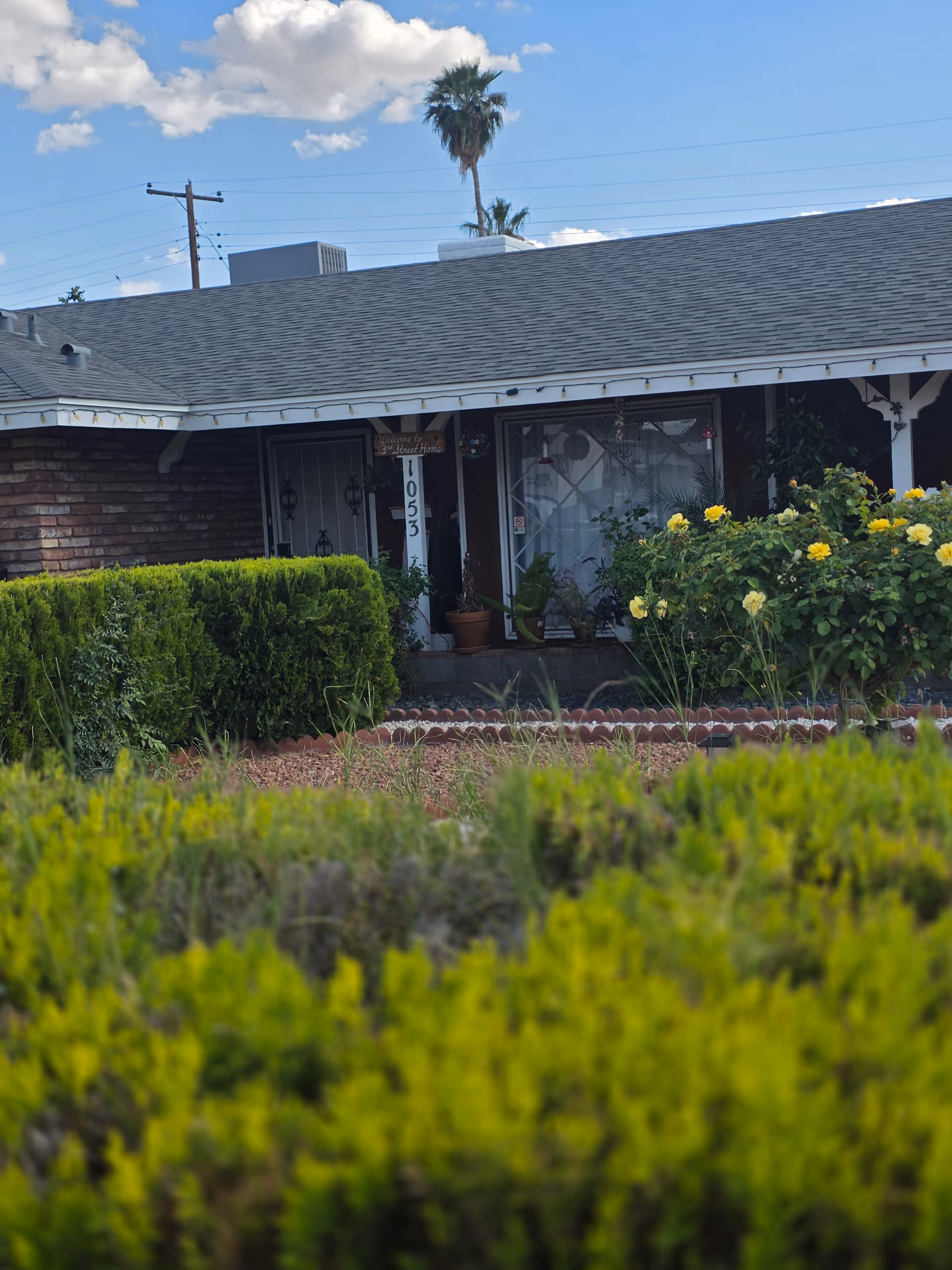 Front view of a single-story senior living home with hedges and yellow roses.