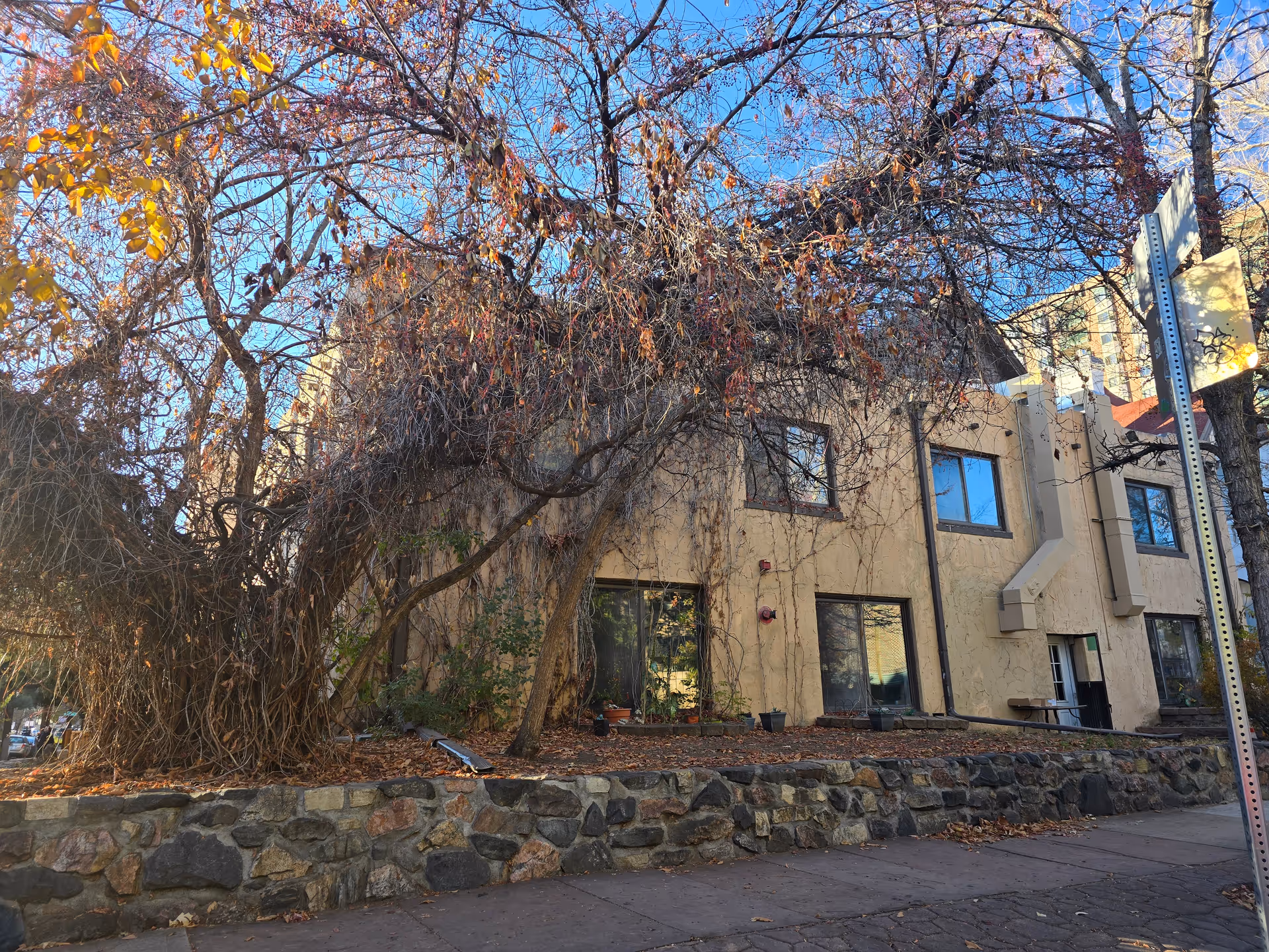 Two-story stucco building with large windows partially obscured by leafless trees and a low stone wall in front.