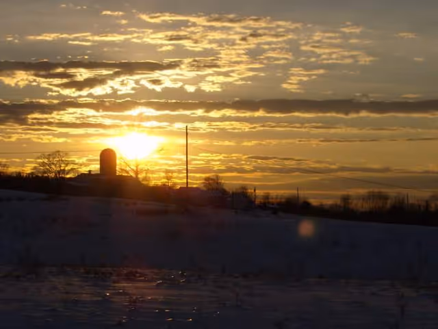 Sunset over a snowy field with a distant silo and trees.