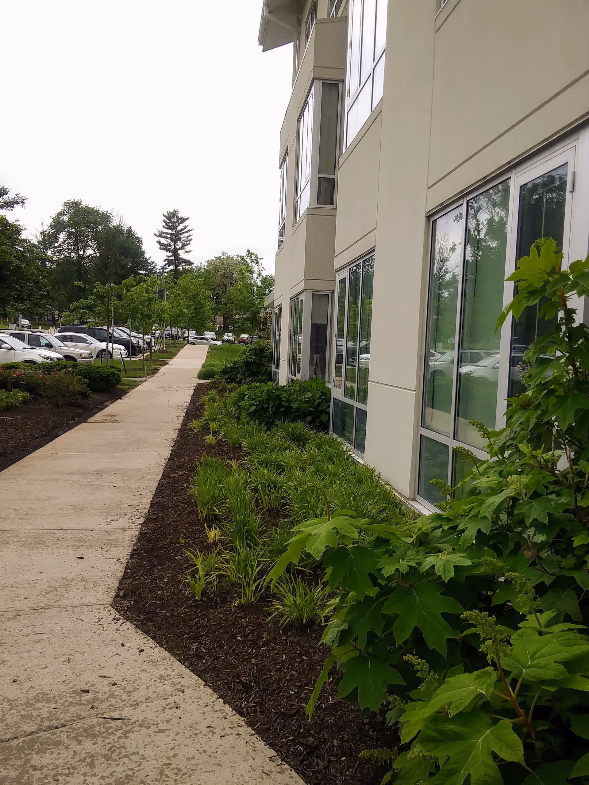 Exterior view of a modern apartment-style building with large windows, sidewalk, and landscaping.