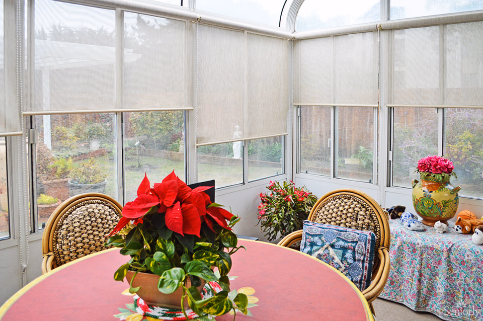 Sunroom with a round table holding a poinsettia, wicker chairs, and potted plants by large windows with blinds.