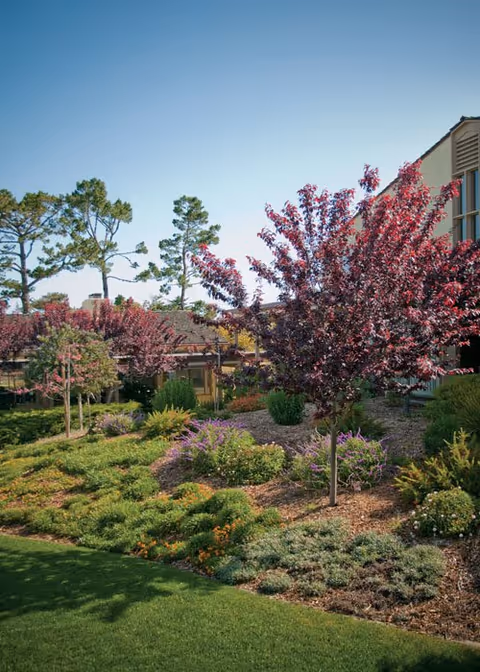 Exterior view of Canterbury Woods with colorful trees and a landscaped garden beside the building.