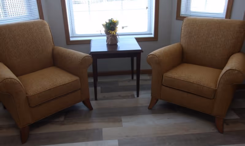 Two tan armchairs with a small table and flower pot in a bright lounge.