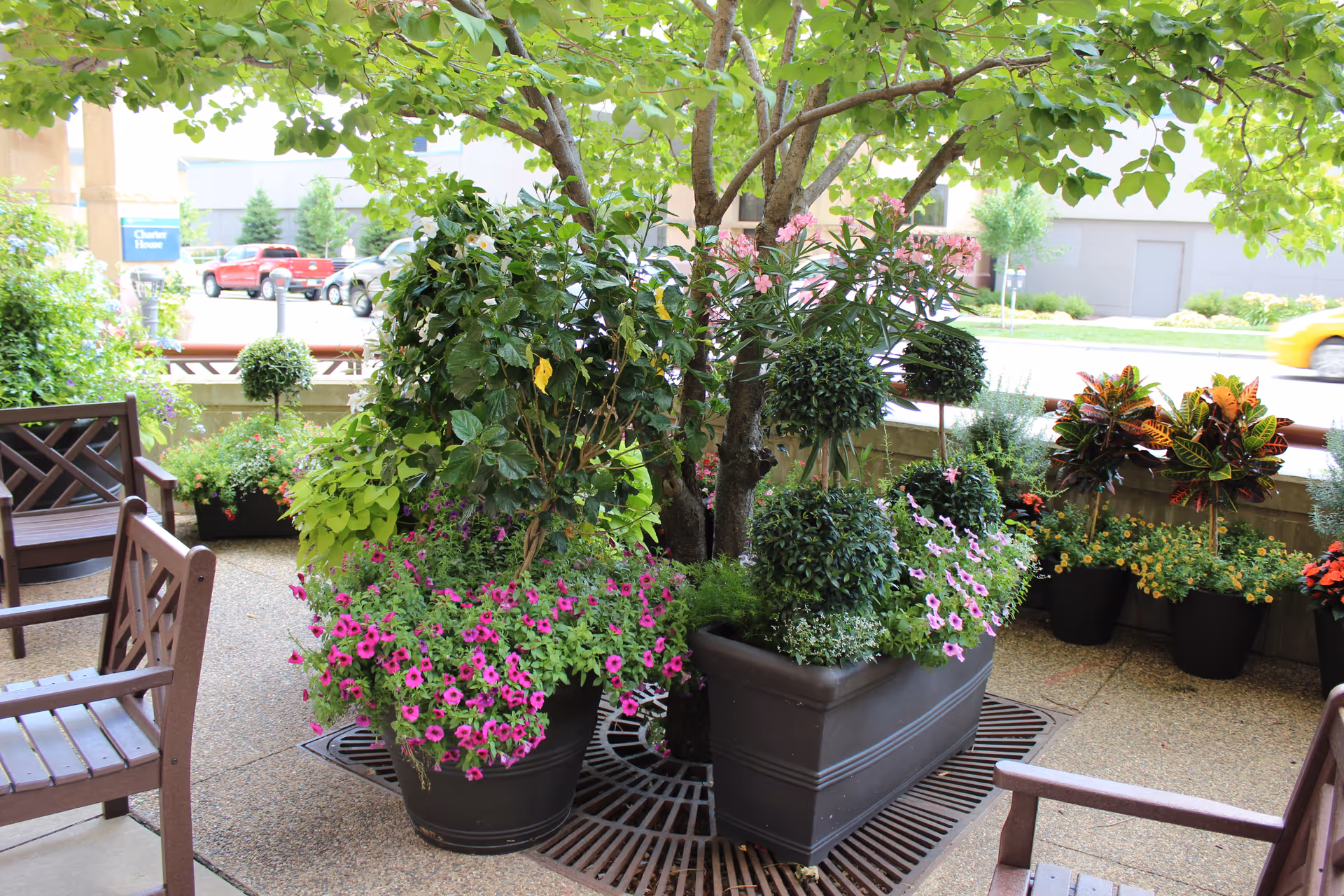 Outdoor patio with large planters, colorful flowers, and wooden chairs.