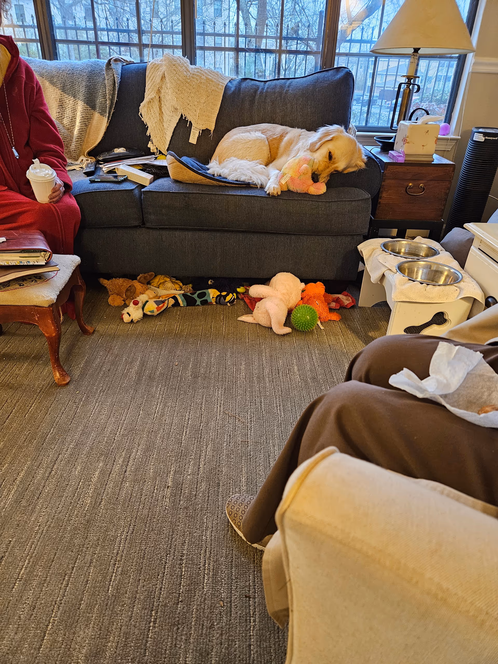 Cozy living room in a senior facility with a dog resting on the couch.