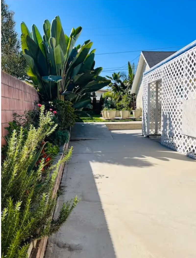 Sunny outdoor path beside a pink wall with lush plants and lattice fence.