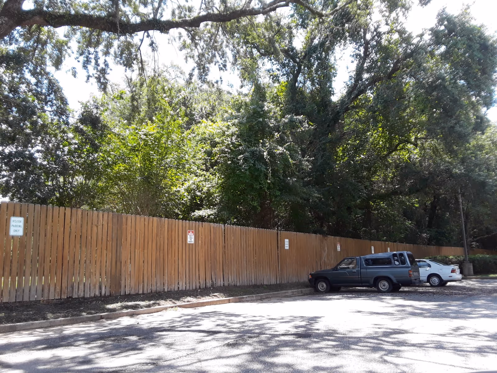 A wooden fence runs along a parking lot with parked cars and dense trees behind.