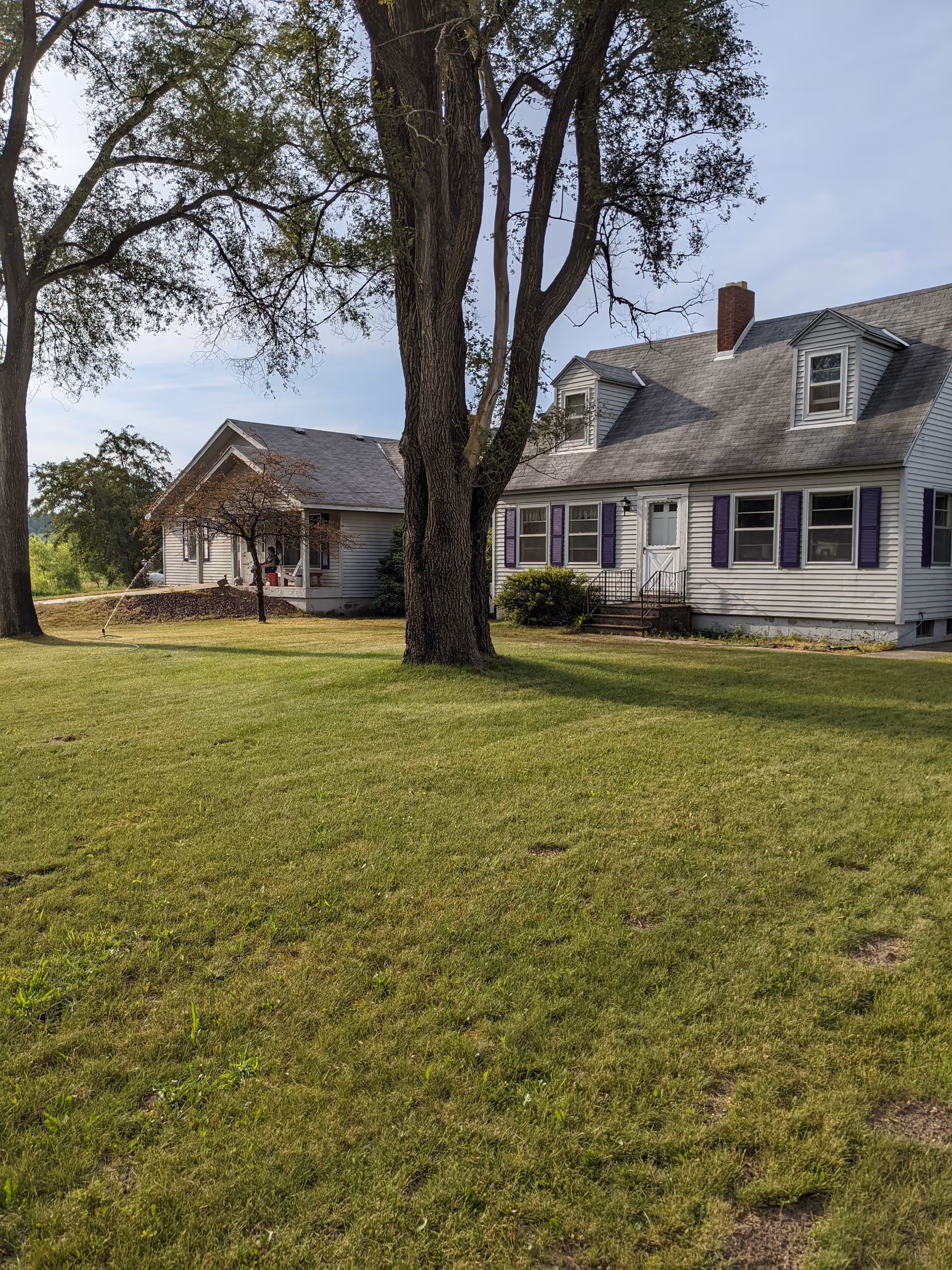 A large grassy yard with two mature trees in front of a white house with purple shutters and a gray roof. The house has a small porch with steps leading to the front door. Another smaller building is visible to the left of the main house. The sky is clear with some light clouds.