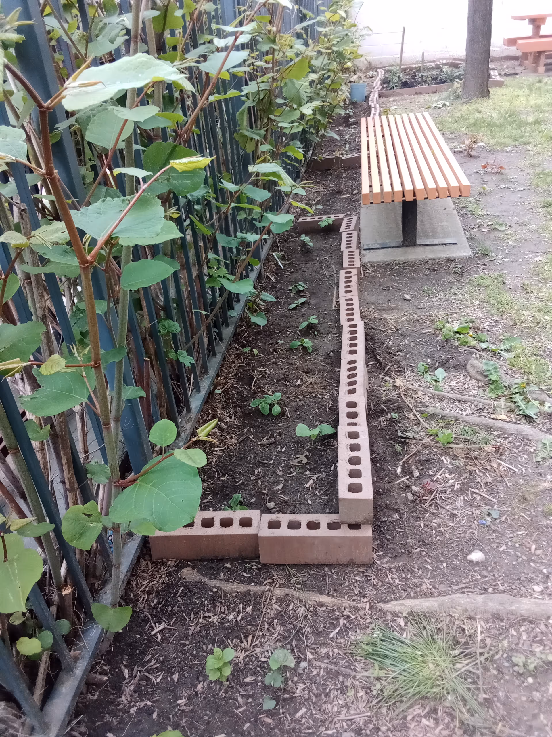 Brick-edged garden bed beside a fence with a wooden bench in an outdoor area.