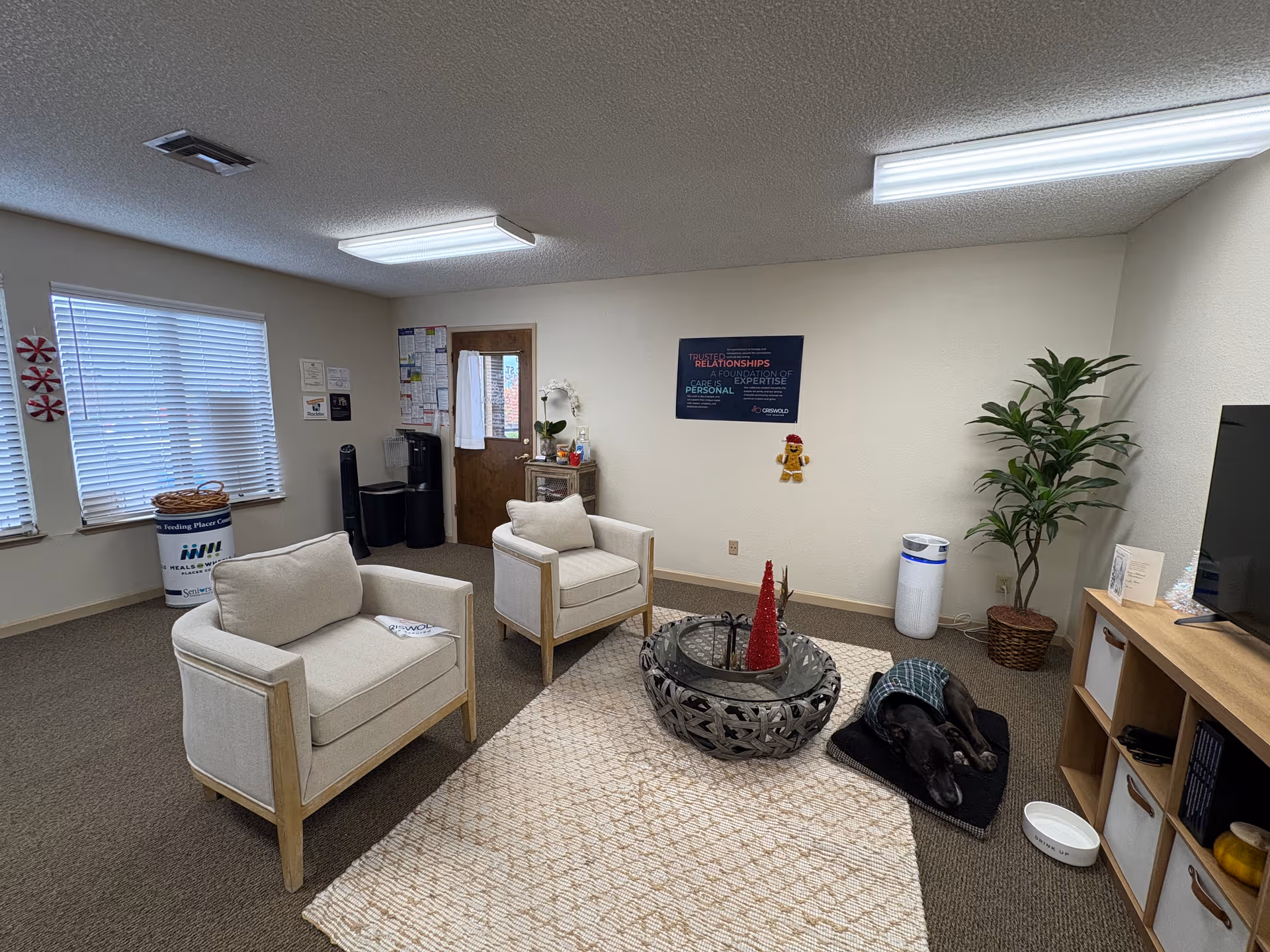 Cozy living room in a senior facility with chairs, rug, plant, and dog.