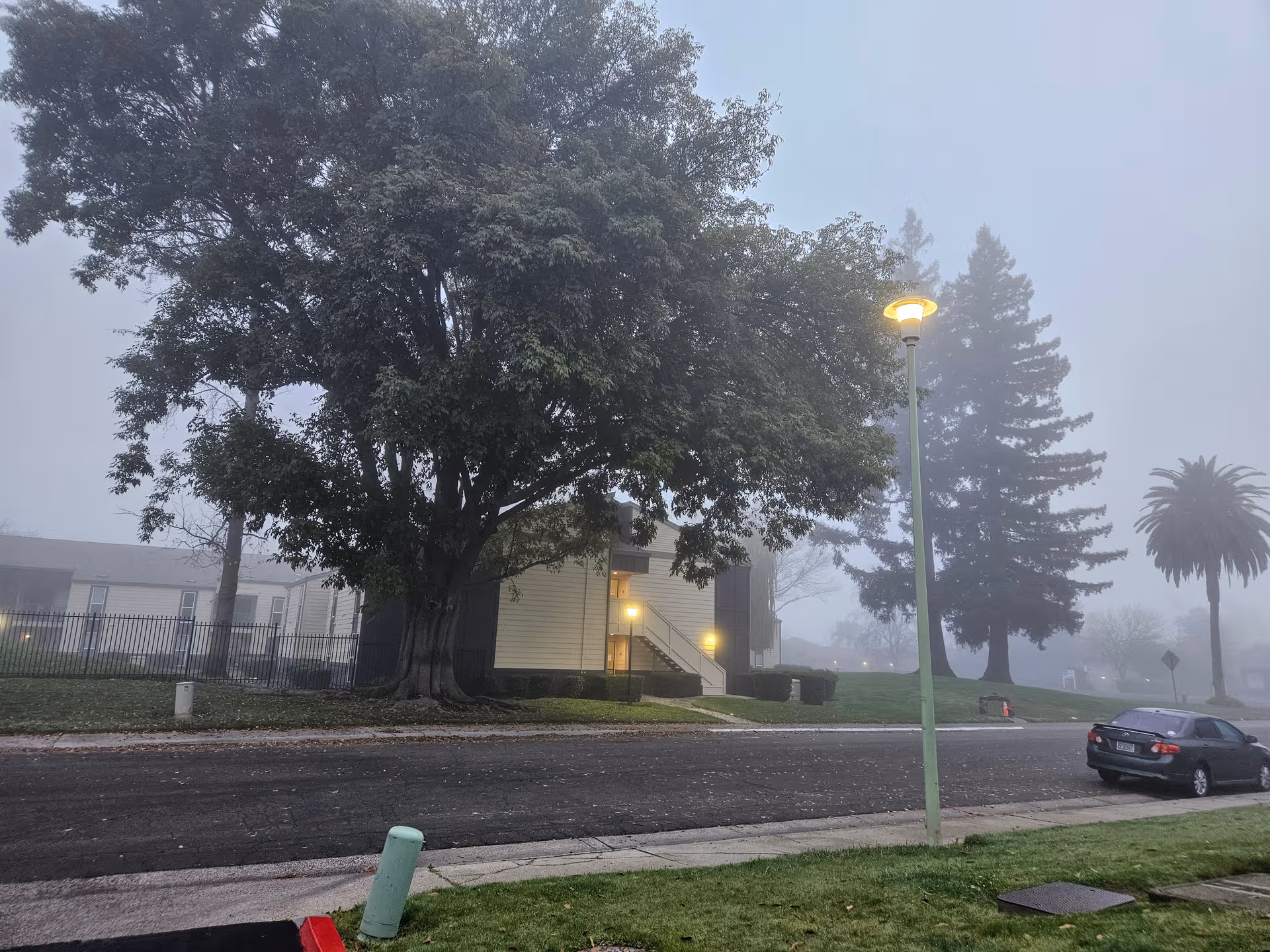 Mist shrouds the senior living building exterior with trees, a parked car, and a streetlamp.