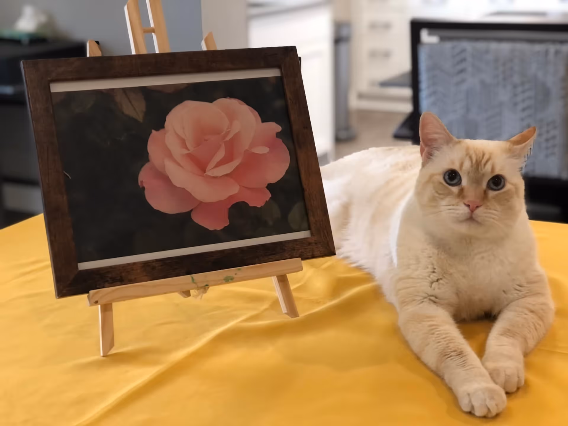 A cream-colored cat with blue eyes lying on a yellow tablecloth next to a framed picture of a pink rose on a small wooden easel.