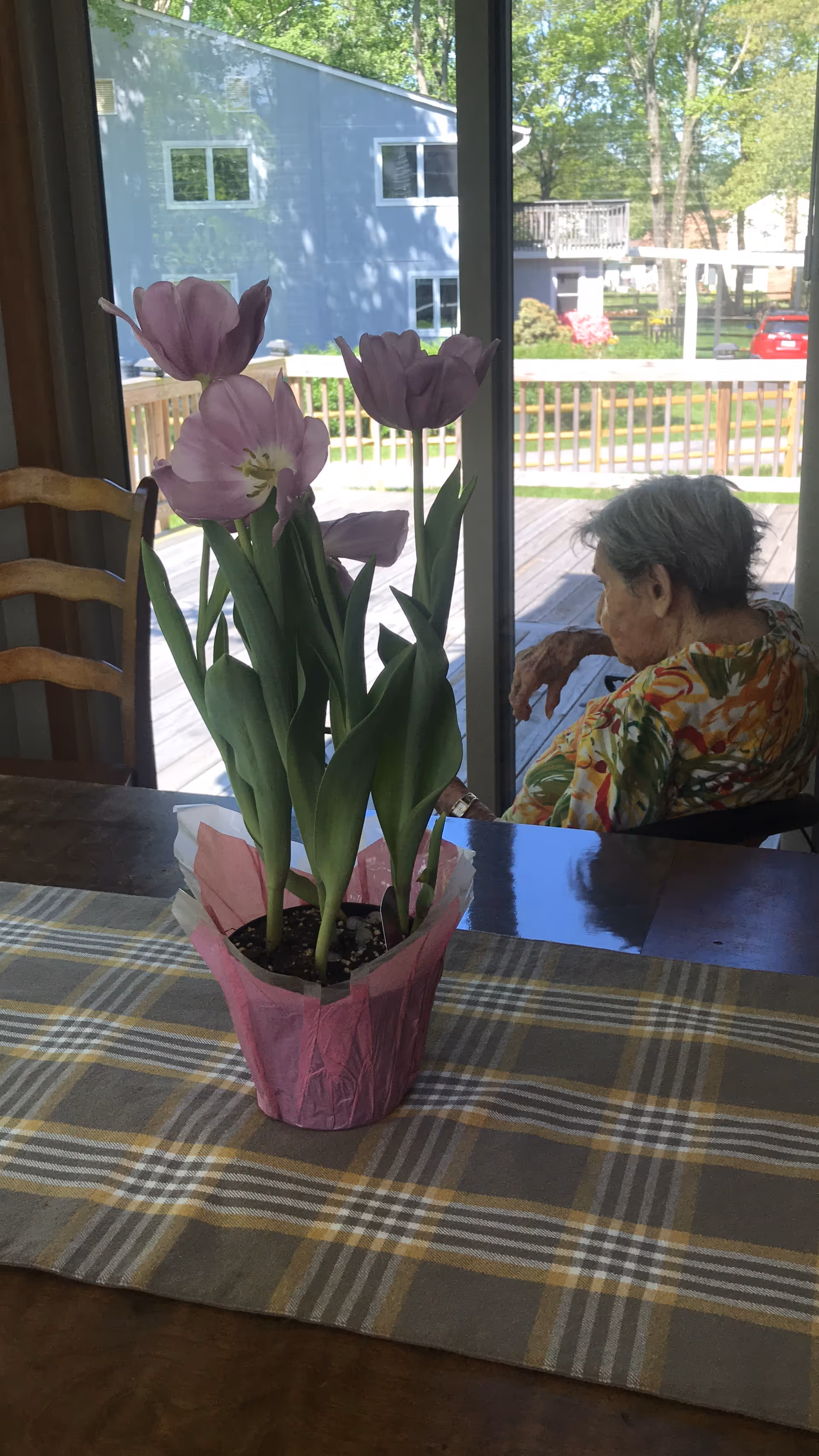 Interior dining area with a pink tulip plant on the table and an elderly woman seated.