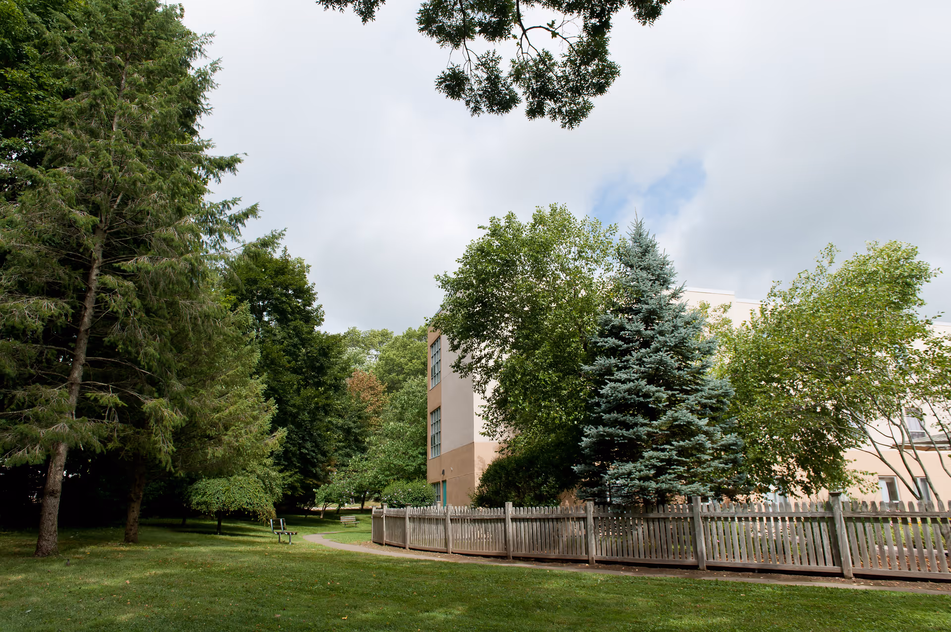 Grassy lawn and trees with a wooden fence and part of a multi-story building visible behind them under a cloudy sky.