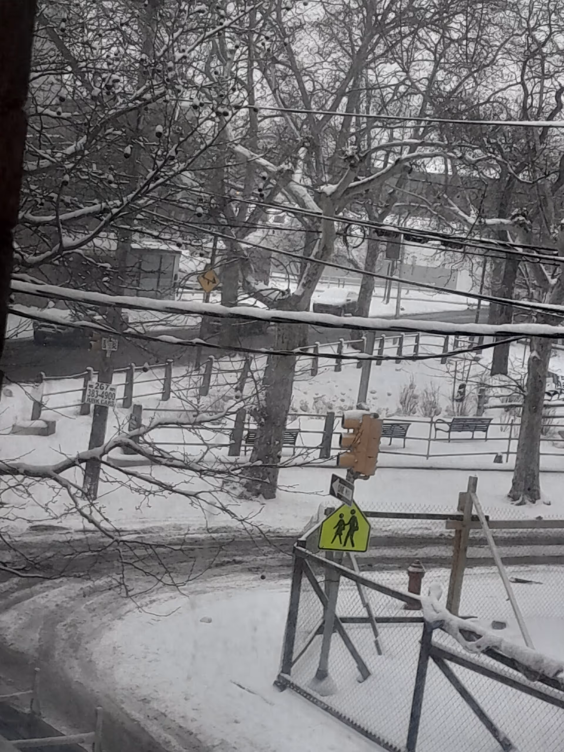 Snowy outdoor urban scene with trees, a fence, bench, and a pedestrian crossing sign