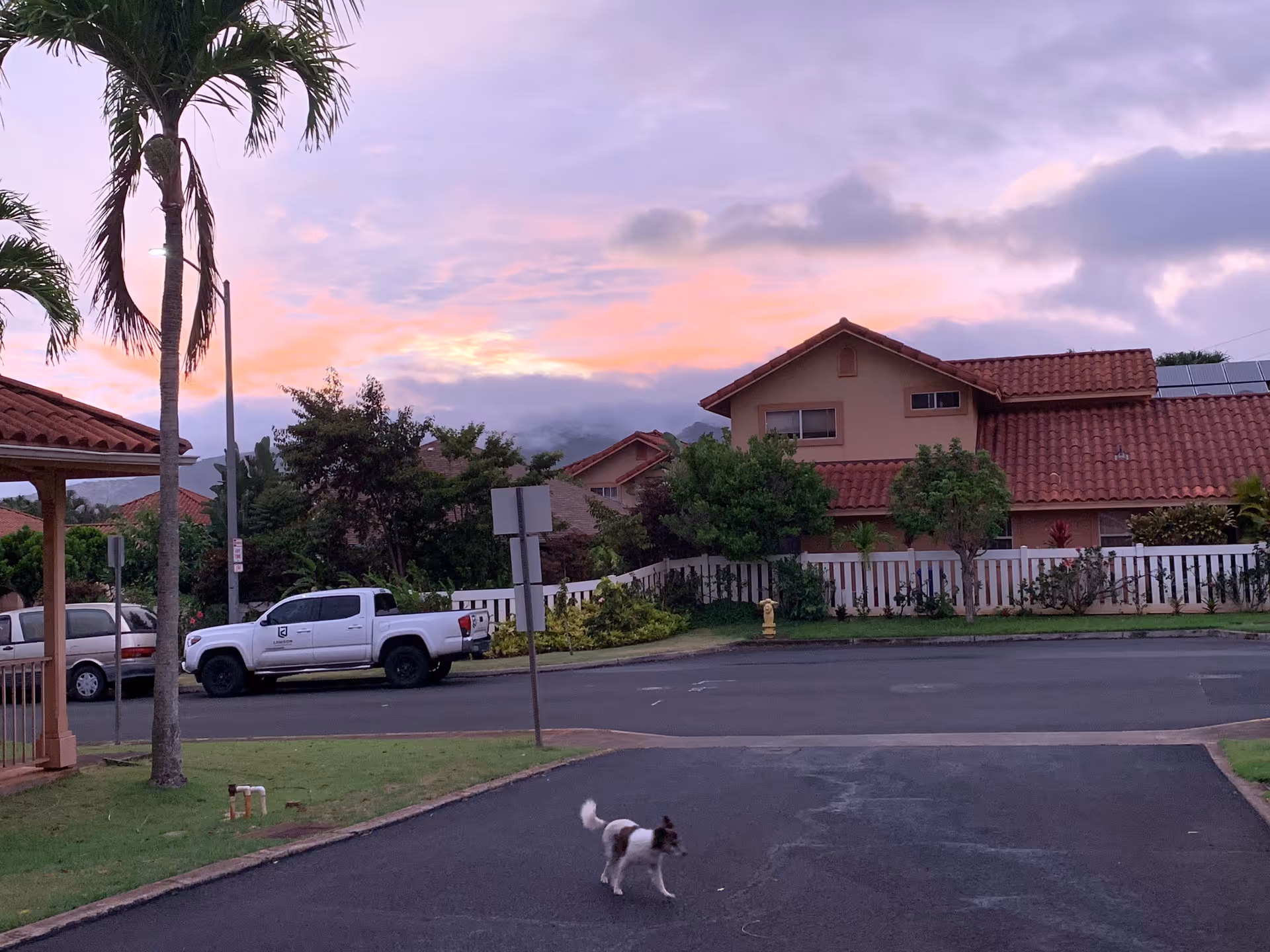 Sunset over a suburban street with red-tiled houses, palm trees, a white pickup, and a dog.