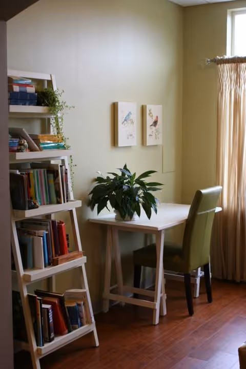 A cozy corner with a desk, chair, potted plant, and bookshelf in a sunlit room.