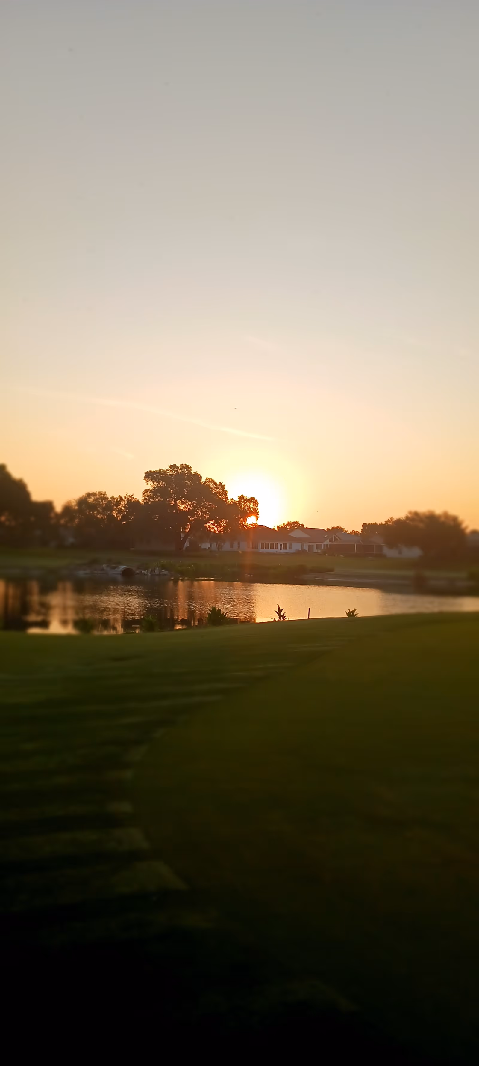 Sunset over a pond with green lawn and distant building at Champion Care, LLC