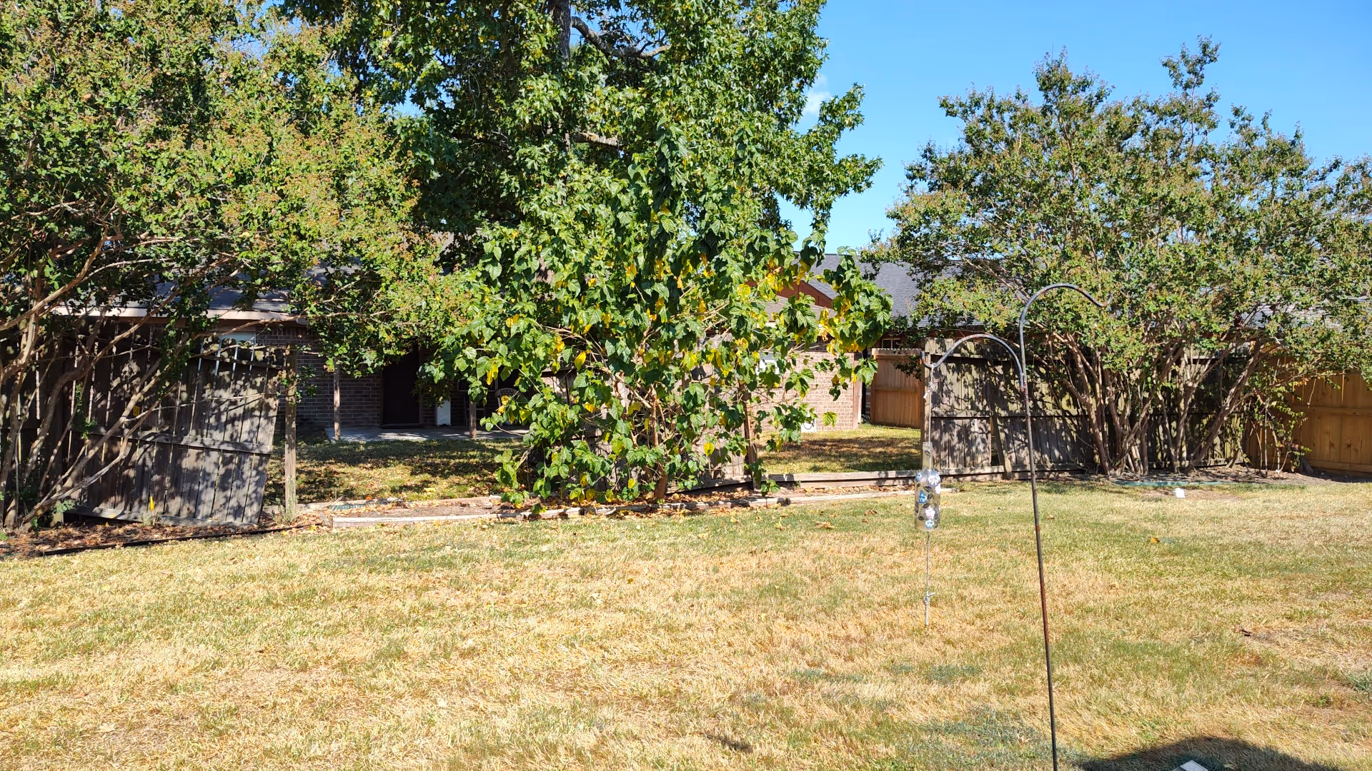 Grassy backyard with trees, wooden fences, and small structures behind a building.