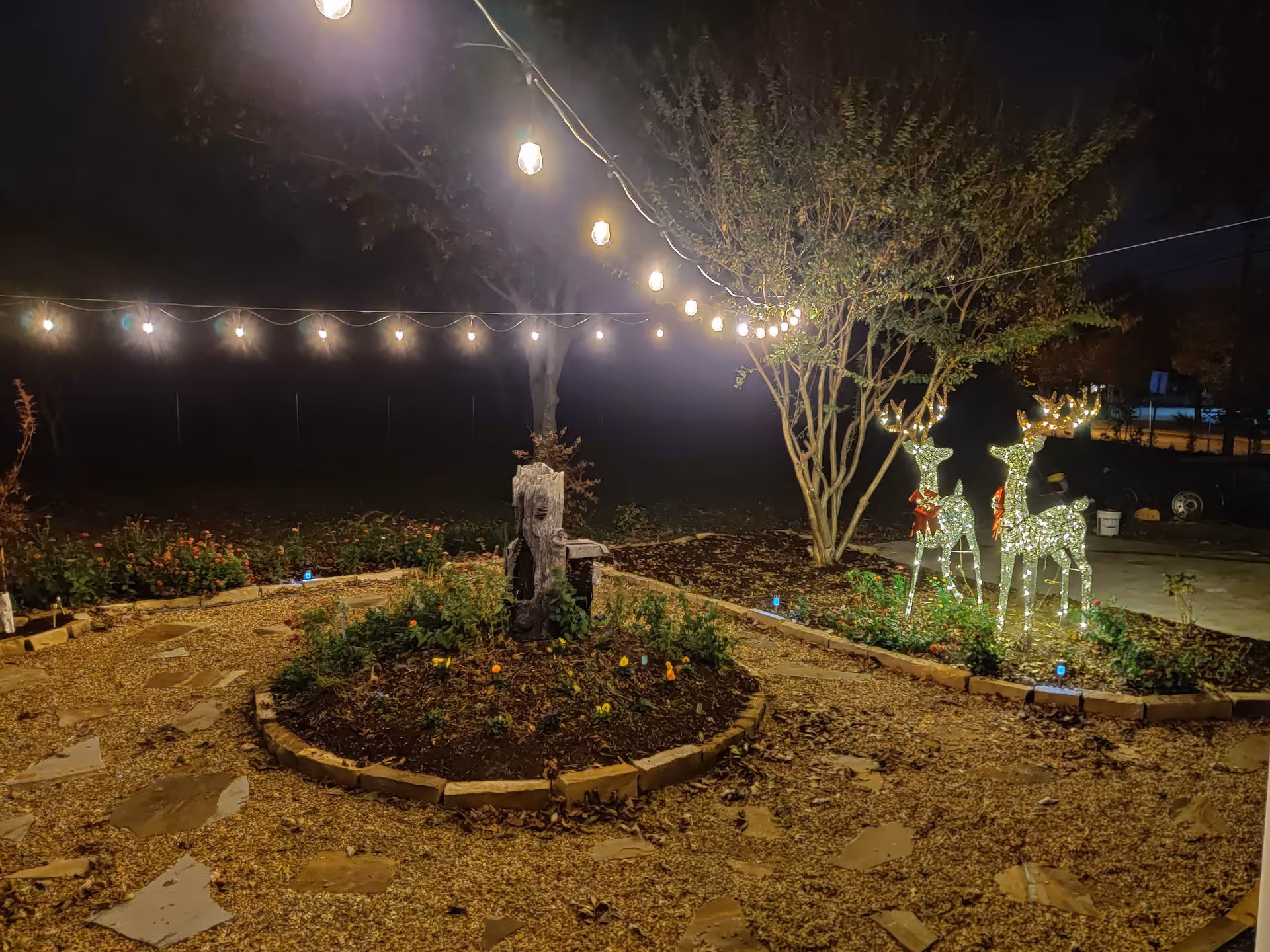 Outdoor garden at Angels Retreat Assisted Living at night with string lights and illuminated deer sculptures.