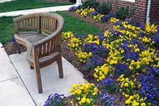 Outdoor concrete patio with a wooden bench beside a flower bed of yellow and purple blooms.