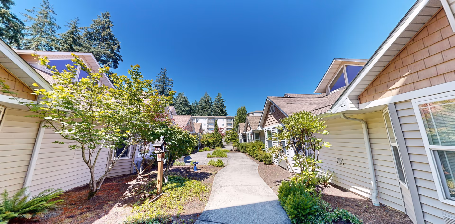A sunny courtyard path between cream-colored townhouse-style senior living buildings with greenery.