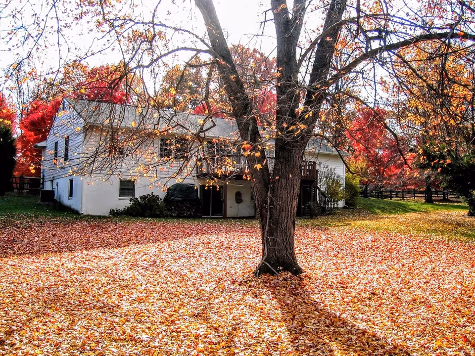 White two-story building framed by autumn trees and fallen leaves.