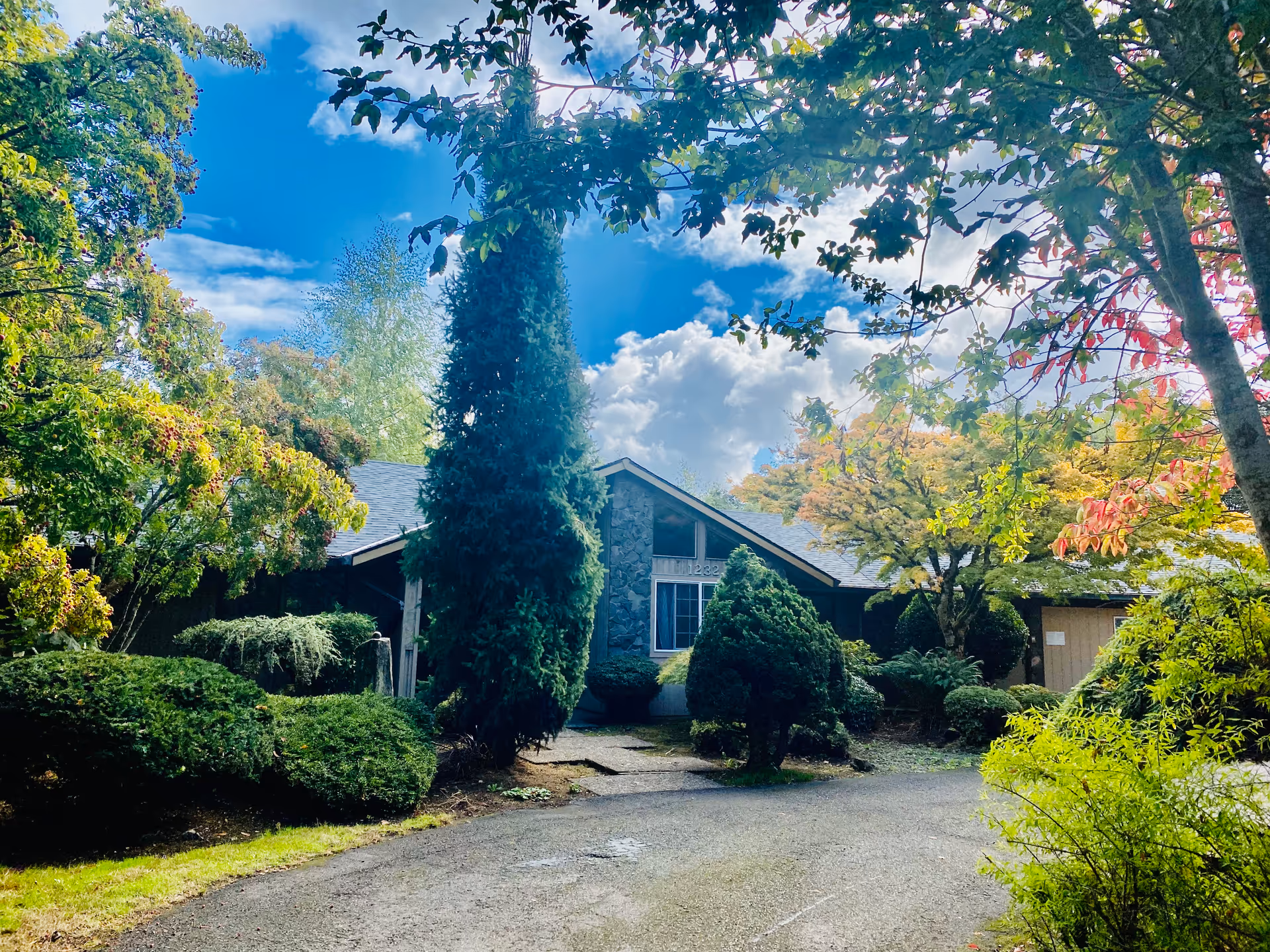 A single-story building with stone facade surrounded by trees and bushes along a driveway.