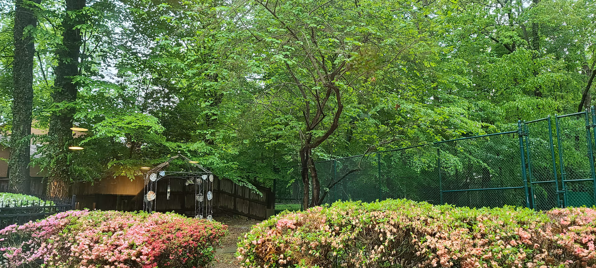 Lush outdoor garden with trees, pink shrubs, and a small gazebo near a green fence.