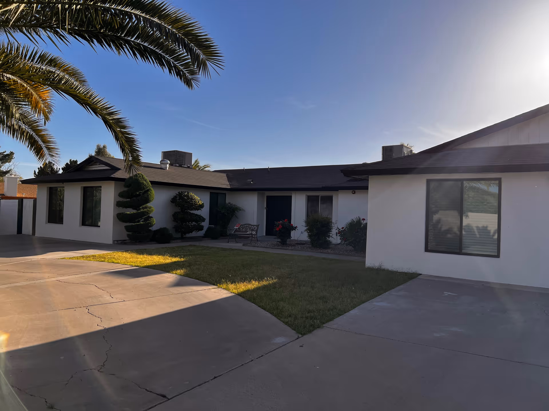Single story white assisted living facility exterior with curved driveway, palm trees, and manicured shrubs.