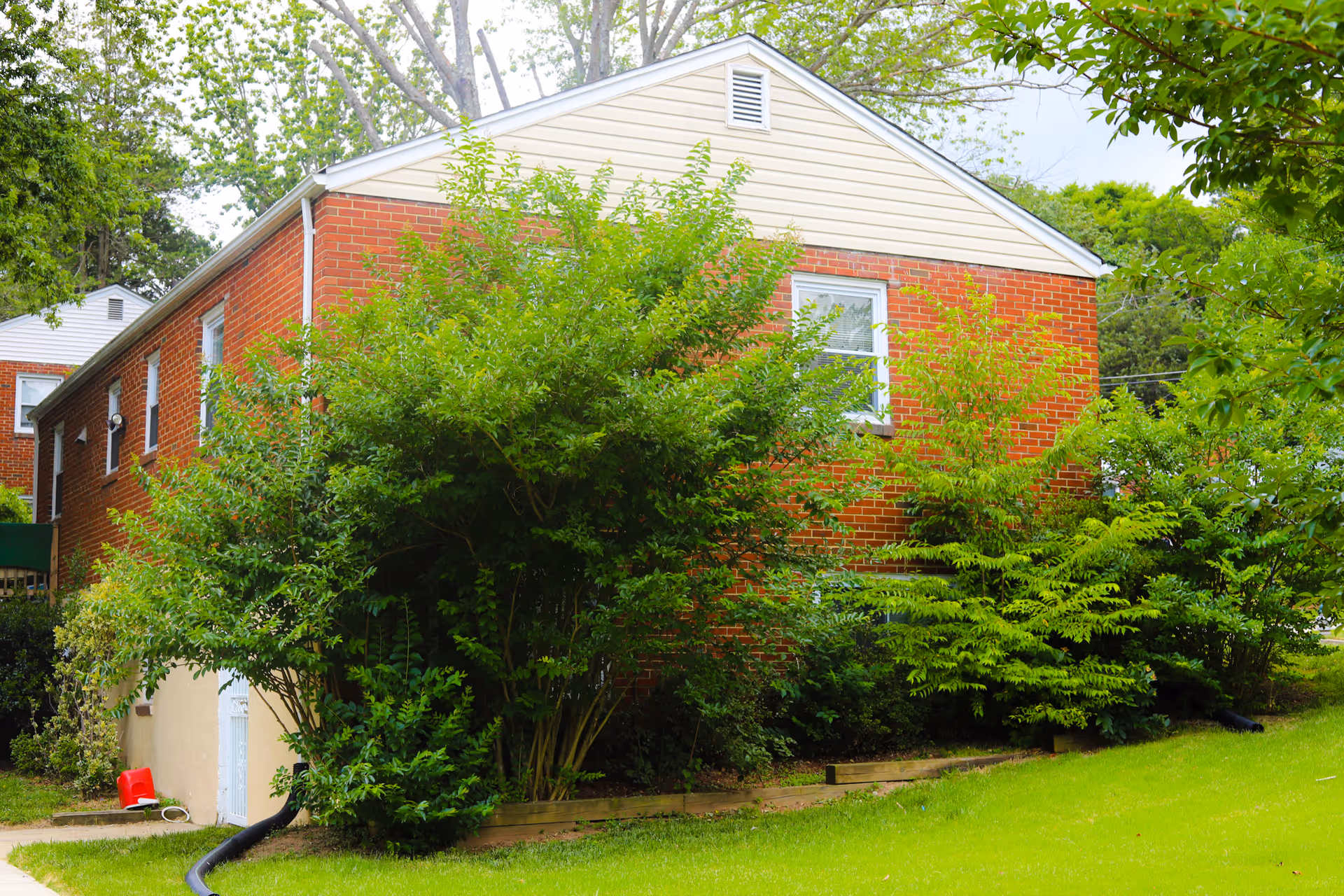 Renee's Place Assisted Living exterior: a brick building surrounded by lush green trees.