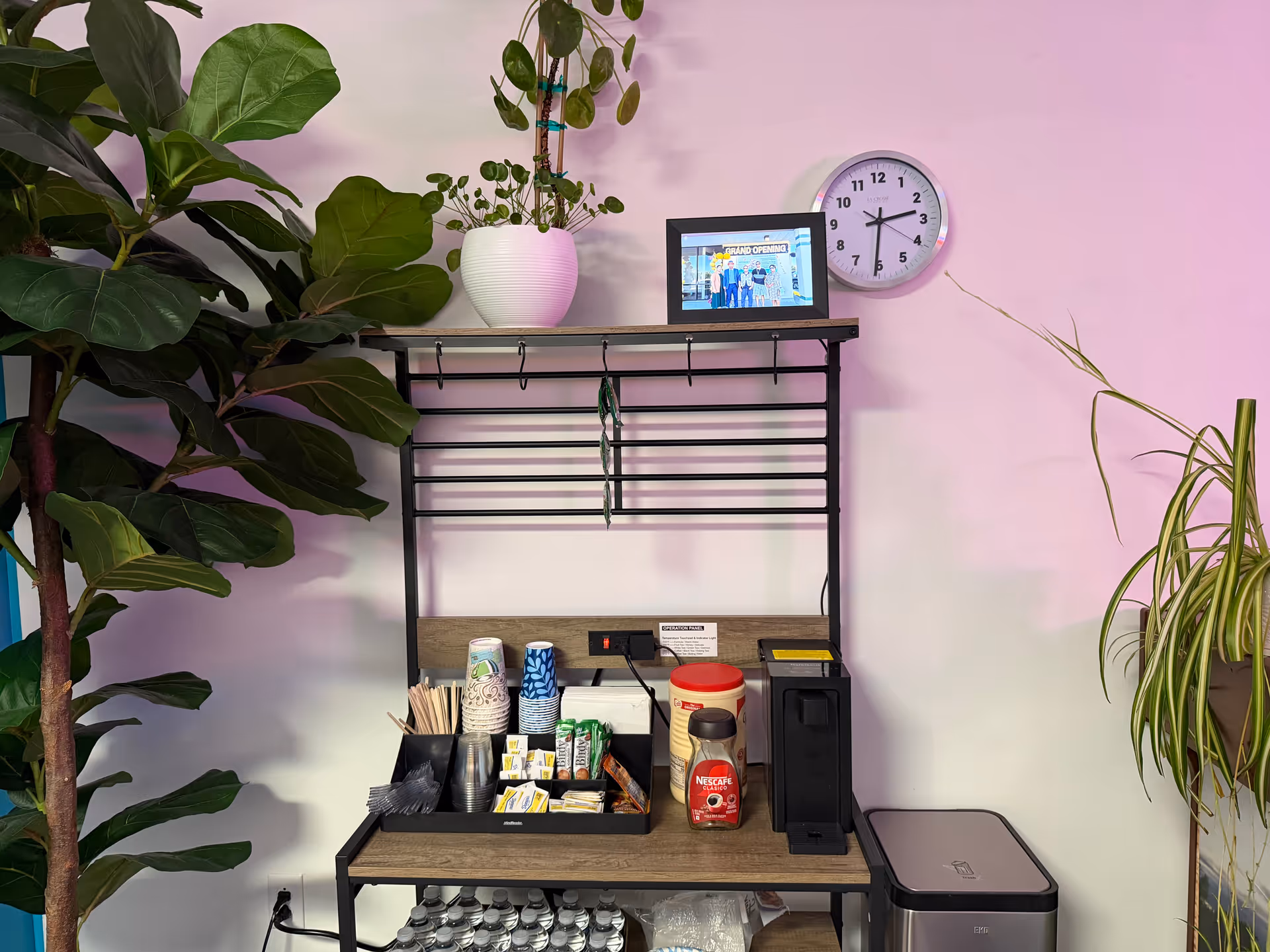 Coffee station with cups, a coffee machine, clock, and potted plants by a pink wall.