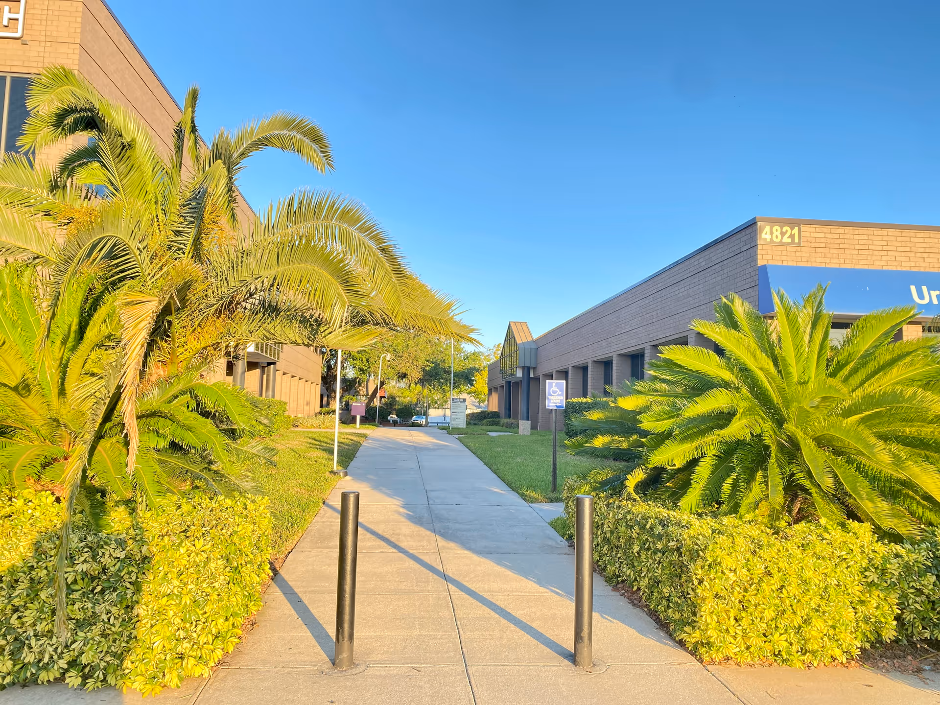 Sunny exterior walkway of Azariah Nurse Registry with palm trees and a blue sky.