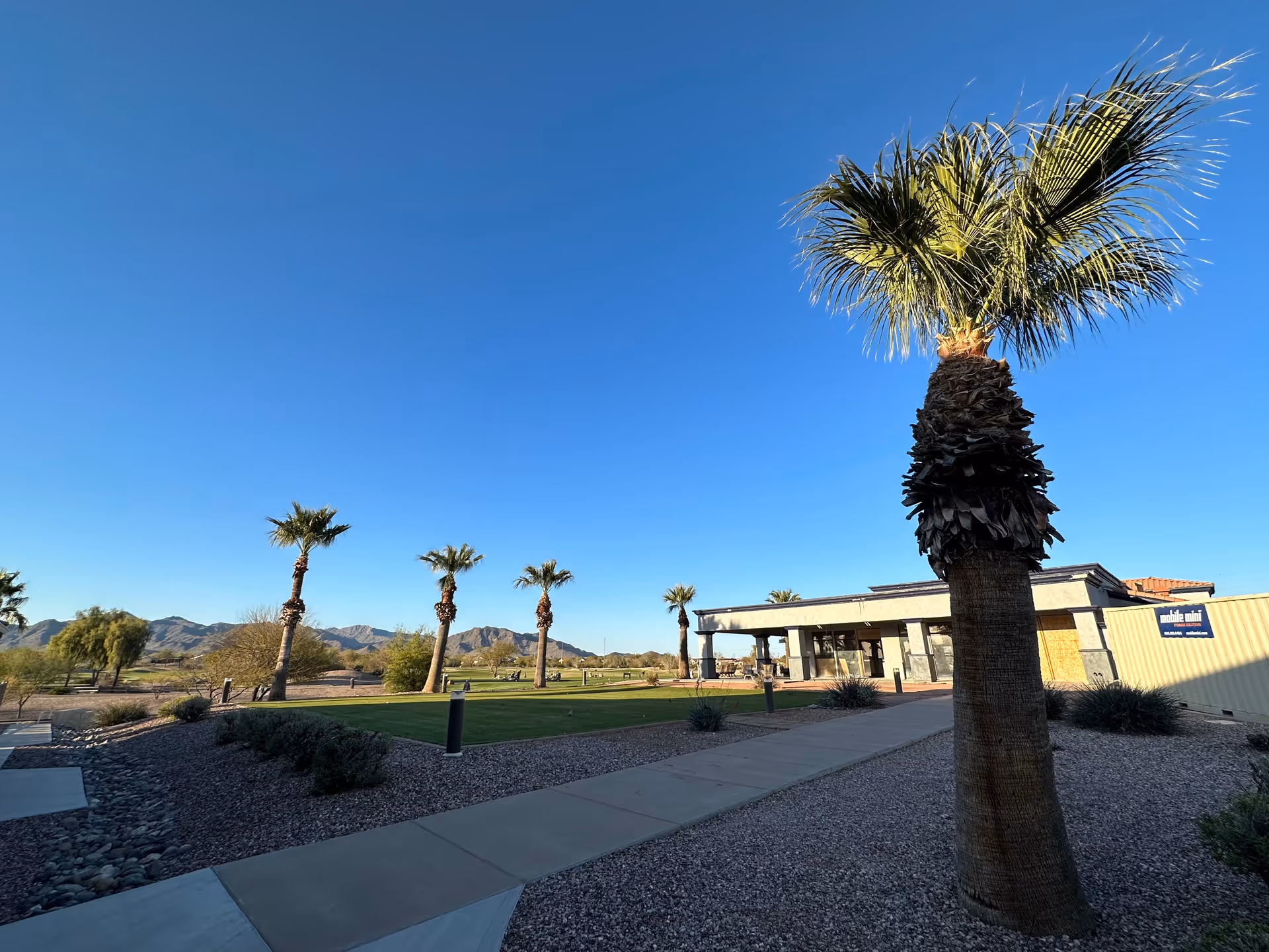 Desert outdoor area at Sundance senior living, with palm trees, walkway, and building.