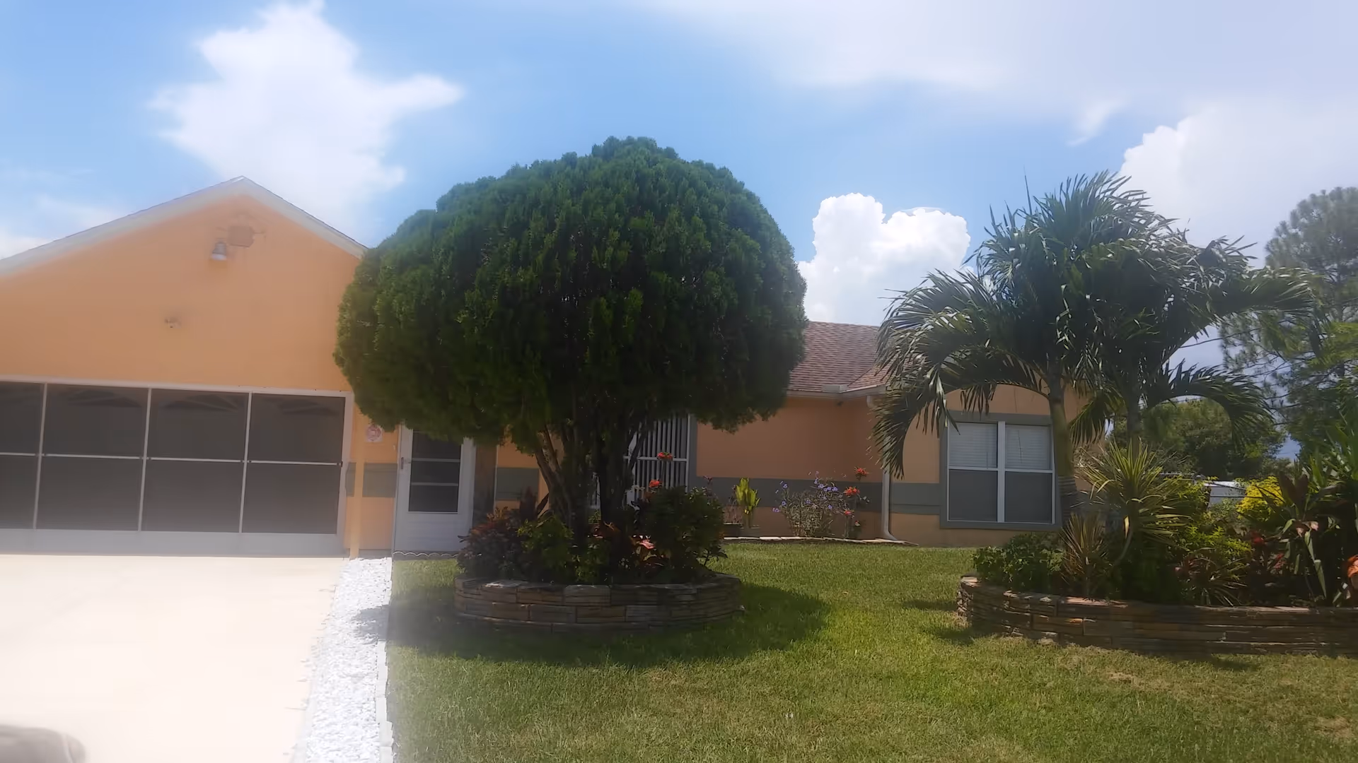 Exterior view of a single-story building with a peach-colored facade, a large rounded tree and a palm tree in the front yard, green grass, and a clear blue sky with some clouds.
