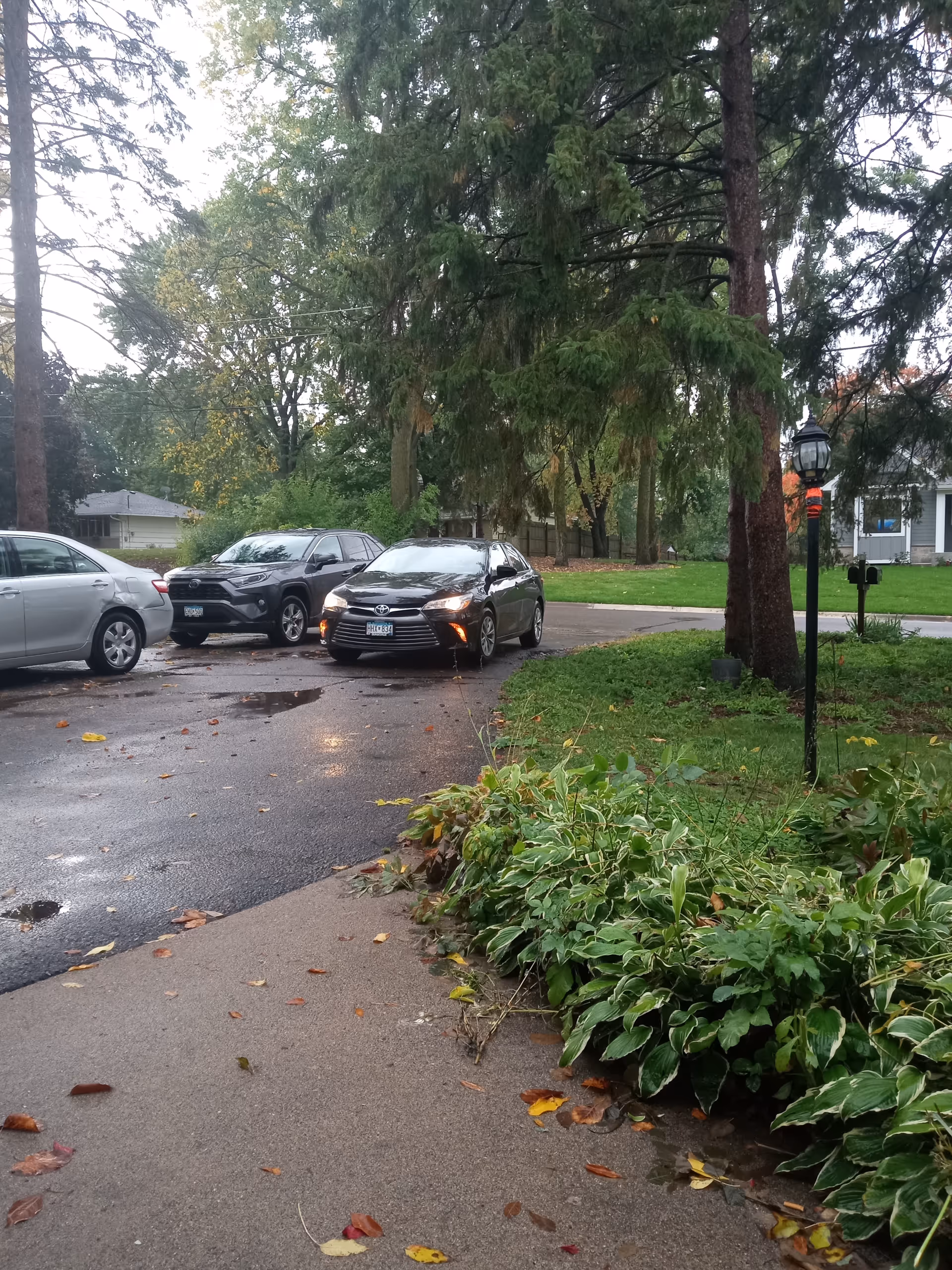 Residential street view with parked cars, wet pavement, and lush greenery.