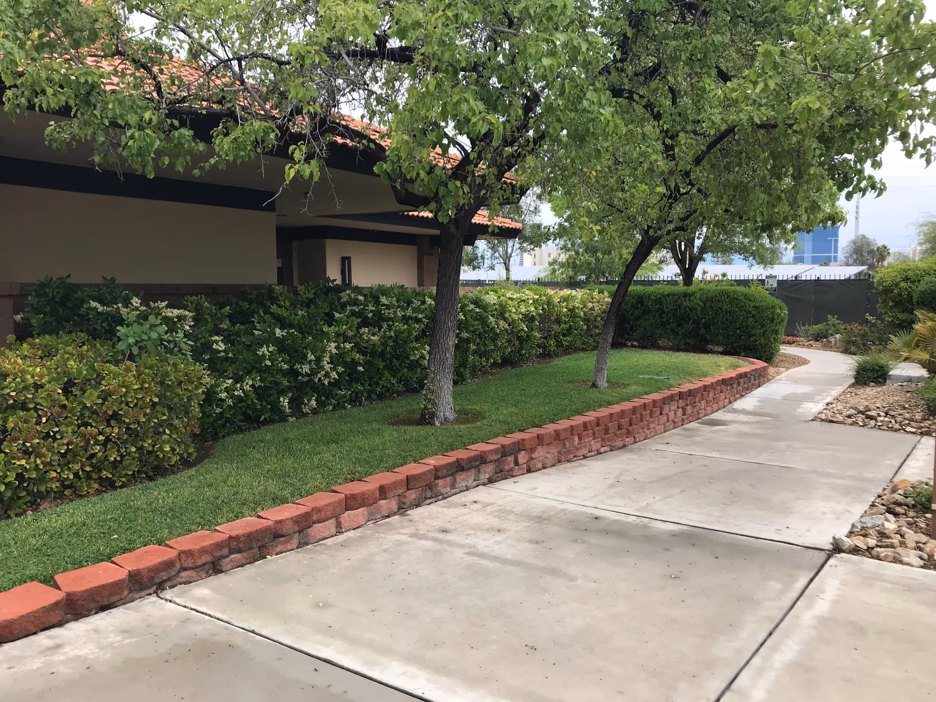 Curved concrete walkway beside trimmed hedges and trees along a building.