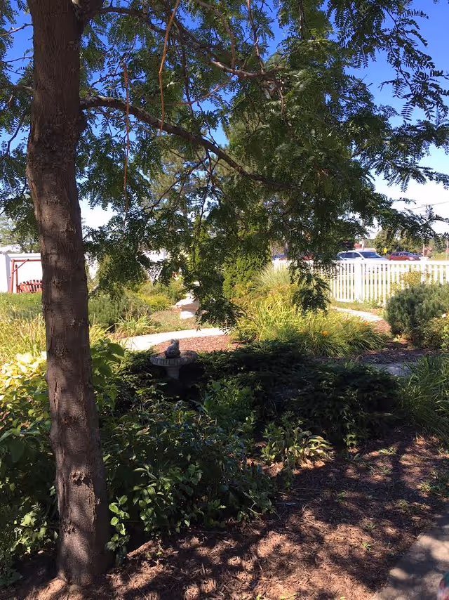 Sunlit landscaped outdoor garden with trees, shrubs, and a bench beside a white fence.