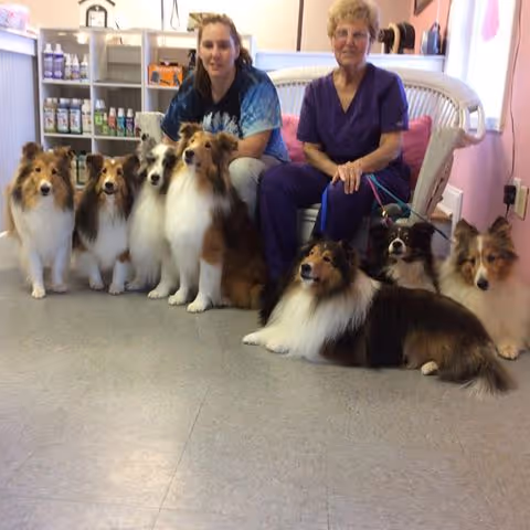 Two caregivers sit with several therapy dogs in a bright living room.