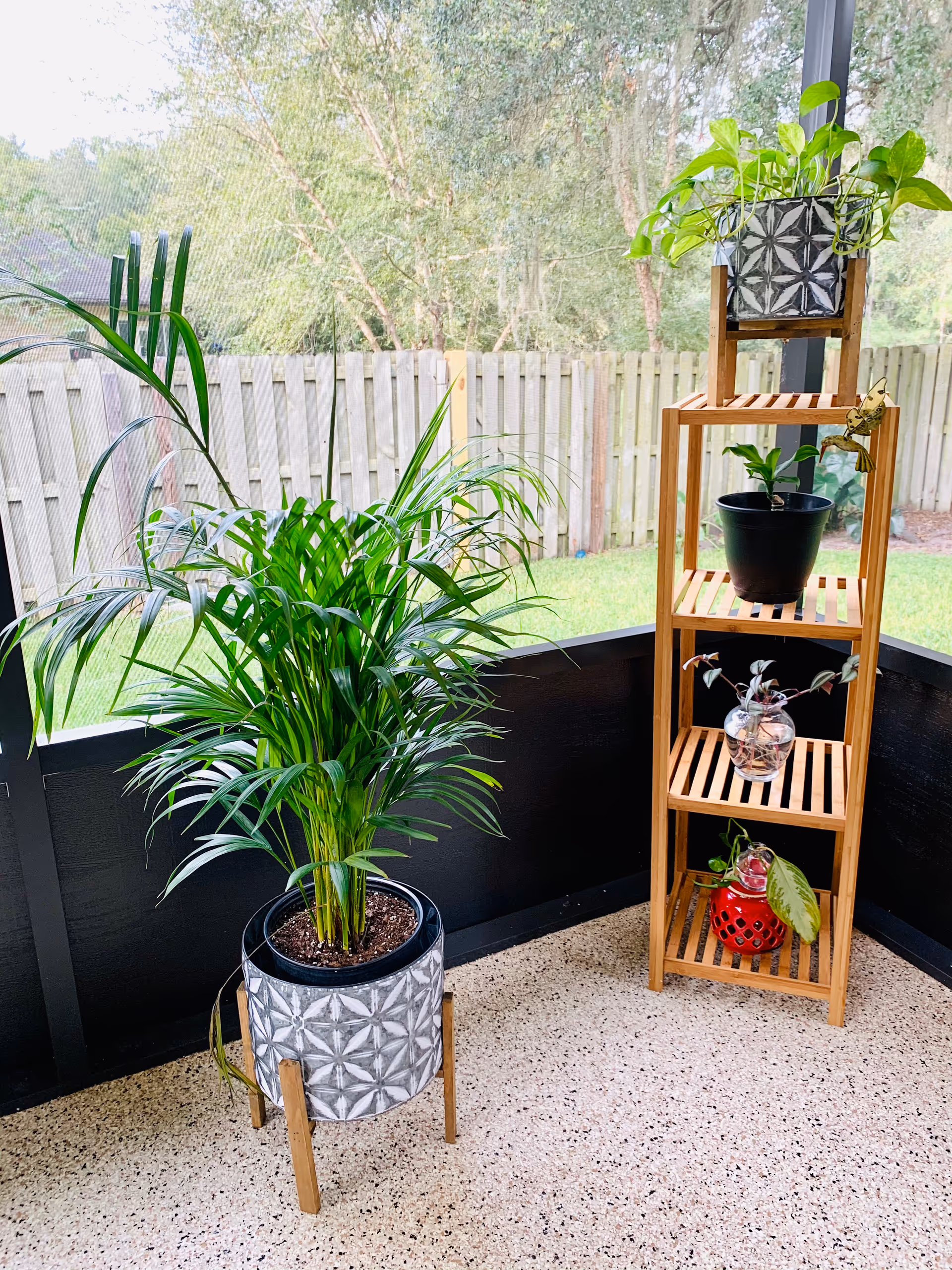 Small outdoor balcony with potted plants and a wooden plant shelf.